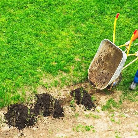 Premium Soil Blends